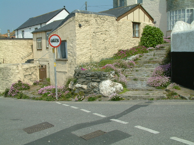 Cliff Road, Porthleven. 30 May 2003.